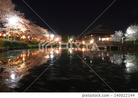 夜幕下的神沼公園,櫻花盛開(埼玉縣東松山市) 夜幕下的神沼公園,櫻花盛開(埼玉縣東松山市) 140822144