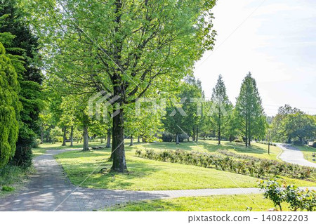 138 塔樓公園，綠意盎然 140822203