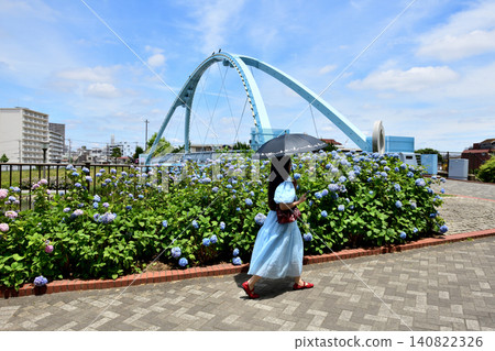 Fureai Bridge visible through the blue hydrangeas blooming along the old Nakagawa River. Fureai Bridge visible through the blue hydrangeas blooming along the old Nakagawa River. 140822326