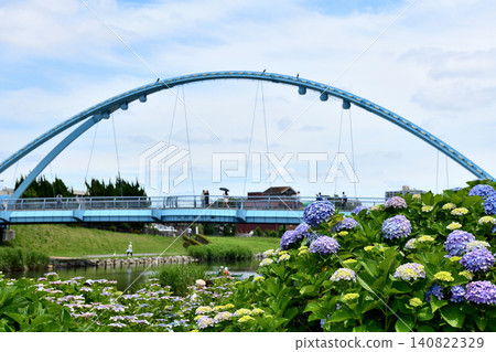 The Fureai Bridge and a canoe are visible through the blue hydrangeas blooming along the old Nakagawa River. The Fureai Bridge and a canoe are visible through the blue hydrangeas blooming along the old Nakagawa River. 140822329