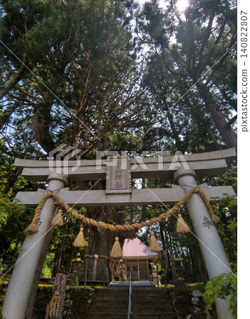 Hakusan Shrine where a large cedar tree in Mushikawa, Joetsu City, Niigata Prefecture is enshrined Hakusan Shrine where a large cedar tree in Mushikawa, Joetsu City, Niigata Prefecture is enshrined 140822807