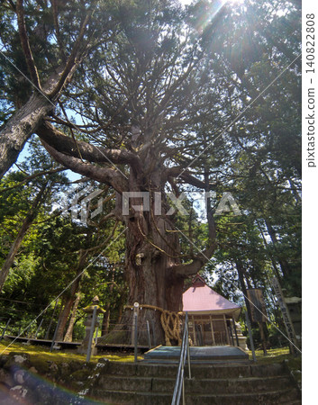 Hakusan Shrine where a large cedar tree in Mushikawa, Joetsu City, Niigata Prefecture is enshrined Hakusan Shrine where a large cedar tree in Mushikawa, Joetsu City, Niigata Prefecture is enshrined 140822808