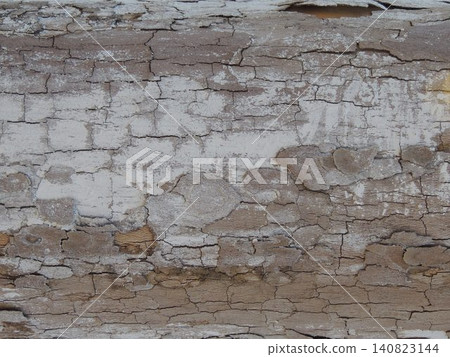 The texture of an old log with cracked bark and traces of peeling white paint. The wooden surface is covered with a deep network of cracks, revealing beige and brown fibers. A close-up of old dry bark The texture of an old log with cracked bark and traces of peeling white paint. The wooden surface is covered with a deep network of cracks, revealing beige and brown fibers. A close-up of old dry bark 140823144