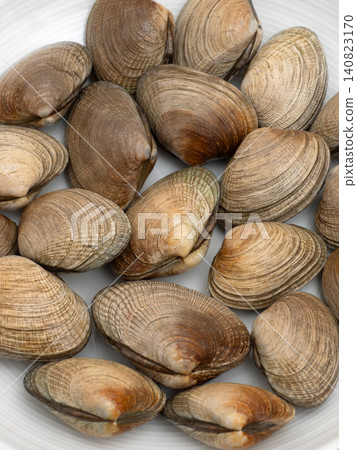 Fresh clams from Hokkaido Fresh clams from Hokkaido 140823170