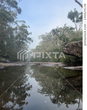 A eucalyptus forest shrouded in morning mist, a fantastical world reflected on the water's surface. A eucalyptus forest shrouded in morning mist, a fantastical world reflected on the water's surface. 140824136