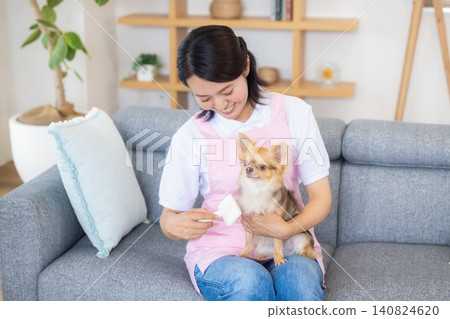 寵物保母-寵物保母正在幫吉娃娃梳毛 寵物保母-寵物保母正在幫吉娃娃梳毛 140824620