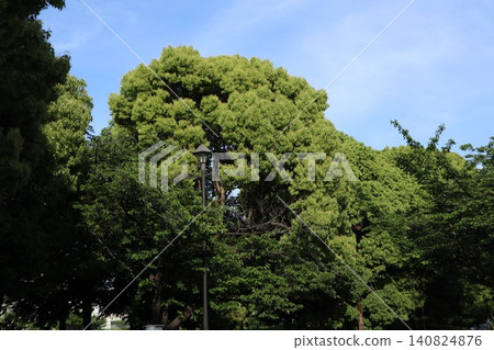 Kameido Central Park 140824876