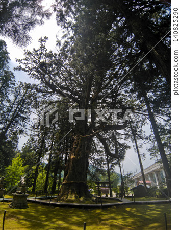 供奉新潟縣上越市蟲川的大杉樹的白山神社 供奉新潟縣上越市蟲川的大杉樹的白山神社 140825290