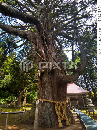 Hakusan Shrine where a large cedar tree in Mushikawa, Joetsu City, Niigata Prefecture is enshrined Hakusan Shrine where a large cedar tree in Mushikawa, Joetsu City, Niigata Prefecture is enshrined 140825294