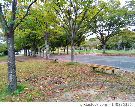 初秋的公園；學生放學後休息的長椅（插畫風格） 140825335