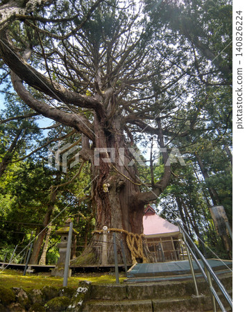 Hakusan Shrine where a large cedar tree in Mushikawa, Joetsu City, Niigata Prefecture is enshrined Hakusan Shrine where a large cedar tree in Mushikawa, Joetsu City, Niigata Prefecture is enshrined 140826224
