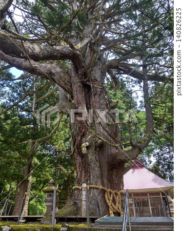 Hakusan Shrine where a large cedar tree in Mushikawa, Joetsu City, Niigata Prefecture is enshrined Hakusan Shrine where a large cedar tree in Mushikawa, Joetsu City, Niigata Prefecture is enshrined 140826225