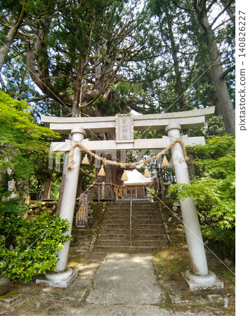 Hakusan Shrine where a large cedar tree in Mushikawa, Joetsu City, Niigata Prefecture is enshrined Hakusan Shrine where a large cedar tree in Mushikawa, Joetsu City, Niigata Prefecture is enshrined 140826227