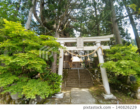 Hakusan Shrine where a large cedar tree in Mushikawa, Joetsu City, Niigata Prefecture is enshrined 140826229