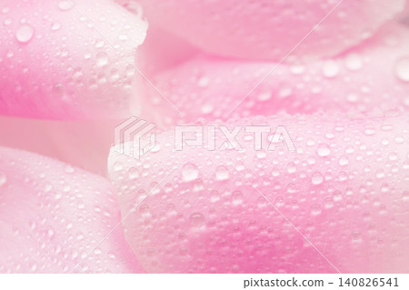 Macro photography of pink flower petals and water droplets indoors (12) Macro photography of pink flower petals and water droplets indoors (12) 140826541