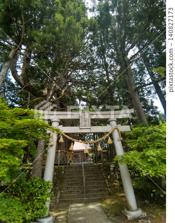 Hakusan Shrine where a large cedar tree in Mushikawa, Joetsu City, Niigata Prefecture is enshrined Hakusan Shrine where a large cedar tree in Mushikawa, Joetsu City, Niigata Prefecture is enshrined 140827173