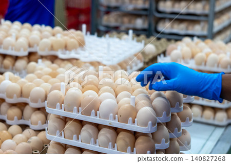 Quality Inspection of Fresh Chicken Eggs by Worker Wearing Protective Gloves Quality Inspection of Fresh Chicken Eggs by Worker Wearing Protective Gloves 140827268