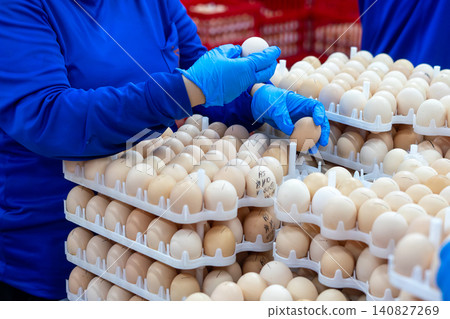 Quality Inspection of Fresh Chicken Eggs by Worker Wearing Protective Gloves Quality Inspection of Fresh Chicken Eggs by Worker Wearing Protective Gloves 140827269