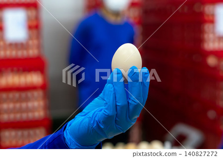 Quality Inspection of Fresh Chicken Eggs by Worker Wearing Protective Gloves Quality Inspection of Fresh Chicken Eggs by Worker Wearing Protective Gloves 140827272
