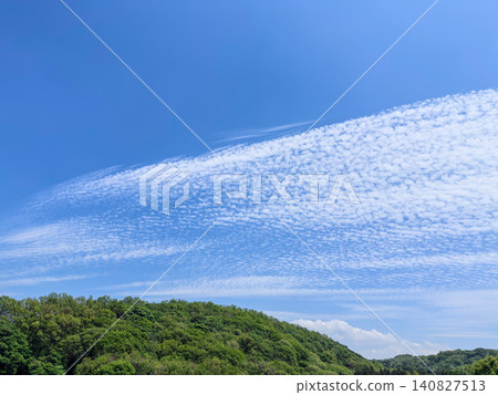 Clouds and fresh greenery filling the sky Clouds and fresh greenery filling the sky 140827513