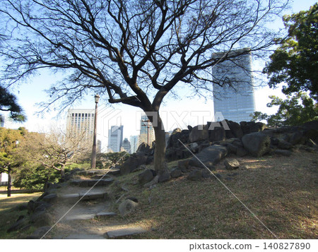 The calming scenery of Hibiya Park in Tokyo 140827890