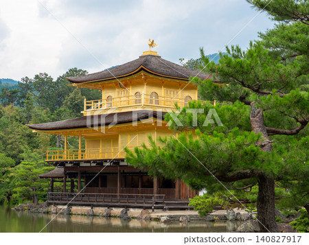初夏時節金閣寺的美景 初夏時節金閣寺的美景 140827917