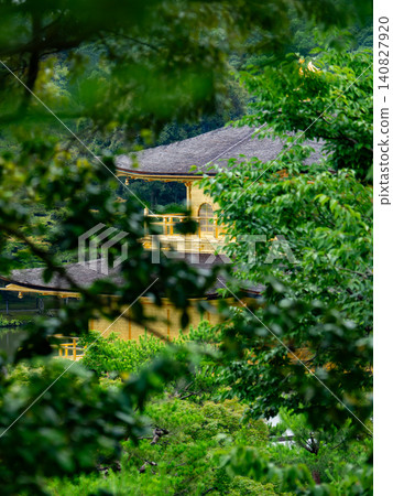 初夏時節金閣寺的美景 初夏時節金閣寺的美景 140827920
