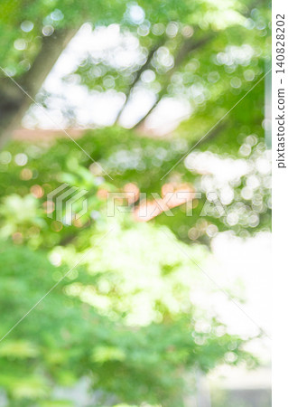 背景素材,模糊素材,綠色,散景,鬱鬱蔥蔥的森林圖像。 背景素材,模糊素材,綠色,散景,鬱鬱蔥蔥的森林圖像。 140828202