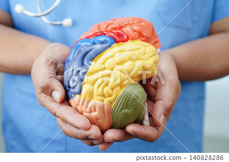 Alzheimer disease, Asian doctor holding brain anatomy model for study diagnosis and treatment in hospital. Alzheimer disease, Asian doctor holding brain anatomy model for study diagnosis and treatment in hospital. 140828286