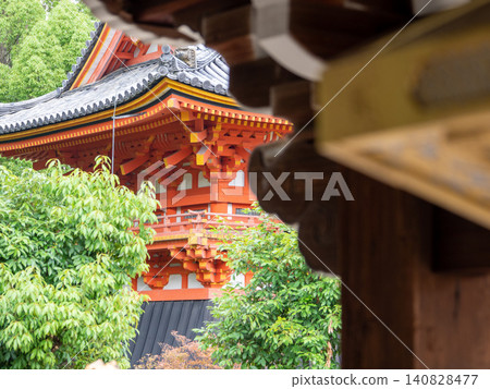 初夏時節的仁和寺 初夏時節的仁和寺 140828477