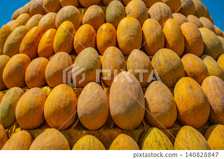 collection of fresh ripe yellow melons collection of fresh ripe yellow melons 140828847