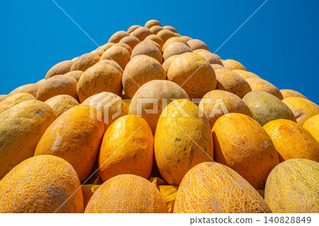 Rows of fresh ripe yellow melons stacked in pyramid display at traditional Tajik outdoor harvest festival bazaar 140828849