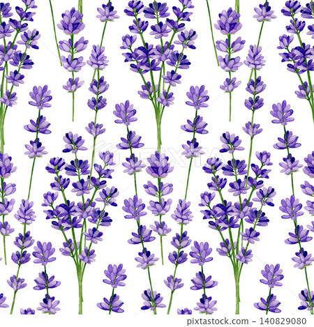 Watercolor lavender on white background. Seamless floral pattern-288. Watercolor lavender on white background. Seamless floral pattern-288. 140829080