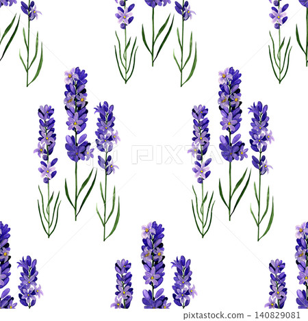 Watercolor lavender on white background. Seamless floral pattern-289. Watercolor lavender on white background. Seamless floral pattern-289. 140829081