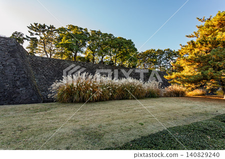 2023年12月,夕陽西下,映照著皇宮東花園廣闊的草坪、石牆和蘆葦草,構成了一幅全景圖。 2023年12月,夕陽西下,映照著皇宮東花園廣闊的草坪、石牆和蘆葦草,構成了一幅全景圖。 140829240