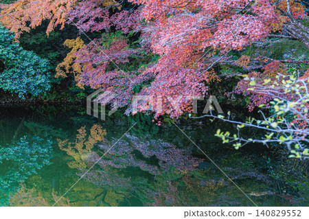 The reflection of the autumn leaves on the water's surface creates a fantastical scene at the Jōruri-ji Temple Treasure Pond in Kizugawa City, Kyoto. The reflection of the autumn leaves on the water's surface creates a fantastical scene at the Jōruri-ji Temple Treasure Pond in Kizugawa City, Kyoto. 140829552