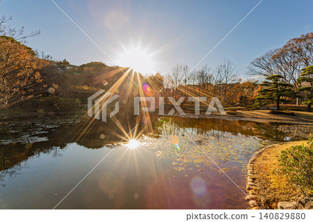 Beautiful rays of sunlight shimmering on the pond in the East Garden of the Imperial Palace, creating a tranquil winter garden scene. December 2023. Beautiful rays of sunlight shimmering on the pond in the East Garden of the Imperial Palace, creating a tranquil winter garden scene. December 2023. 140829880