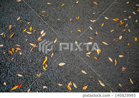 Yellow fallen leaves scattered on the rain-soaked asphalt Yellow fallen leaves scattered on the rain-soaked asphalt 140829993