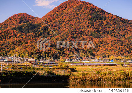 近鐵地方列車行駛在秋季鄉村景色的背景下,遠處是二上山的景色。 近鐵地方列車行駛在秋季鄉村景色的背景下,遠處是二上山的景色。 140830166