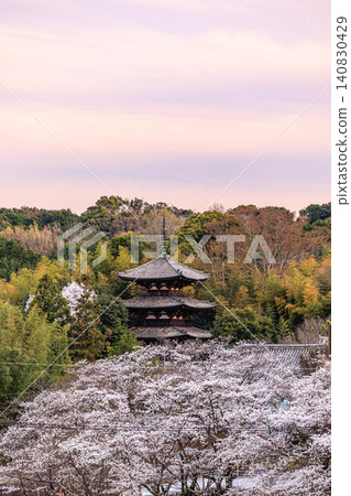 泰瑪寺的三層寶塔,充滿了奈良的傳統美景,還有淡粉紅色的櫻花景色。 泰瑪寺的三層寶塔,充滿了奈良的傳統美景,還有淡粉紅色的櫻花景色。 140830429