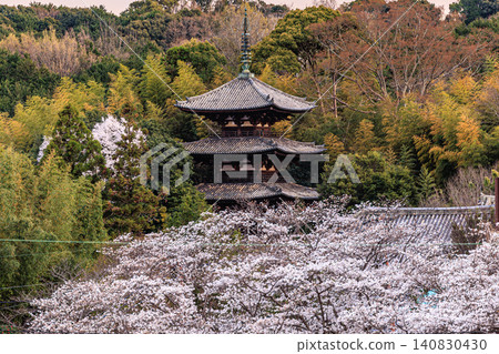 泰瑪寺的古老寶塔在竹林、層層疊疊的翠綠植物和盛開的櫻花映襯下顯得格外醒目。 泰瑪寺的古老寶塔在竹林、層層疊疊的翠綠植物和盛開的櫻花映襯下顯得格外醒目。 140830430