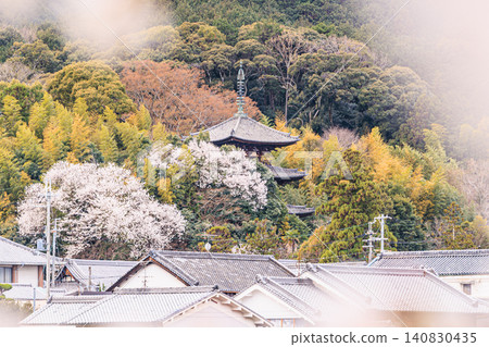 The picturesque three-story pagoda of Taima-dera Temple, a renowned temple in Nara, viewed through a frame of cherry blossoms. The picturesque three-story pagoda of Taima-dera Temple, a renowned temple in Nara, viewed through a frame of cherry blossoms. 140830435