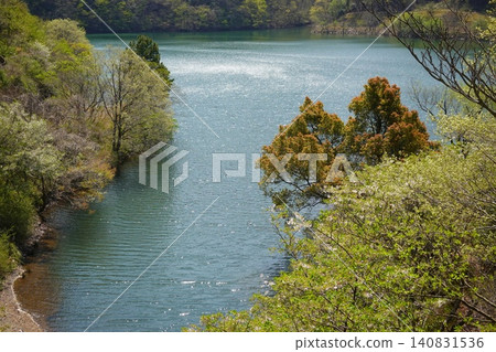 松川湖,奧野水壩,伊東市的水源;泉水;樹木的新芽。 松川湖,奧野水壩,伊東市的水源;泉水;樹木的新芽。 140831536