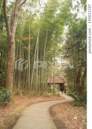 People walking along a bamboo grove path and past old huts People walking along a bamboo grove path and past old huts 140831597