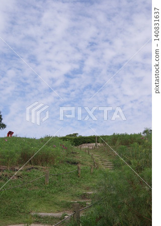 草地上的階梯通往藍天 140831637