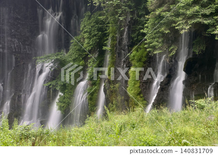 Shiraito Falls - National Natural Monument (Fujinomiya City, Shizuoka Prefecture) Shiraito Falls - National Natural Monument (Fujinomiya City, Shizuoka Prefecture) 140831709