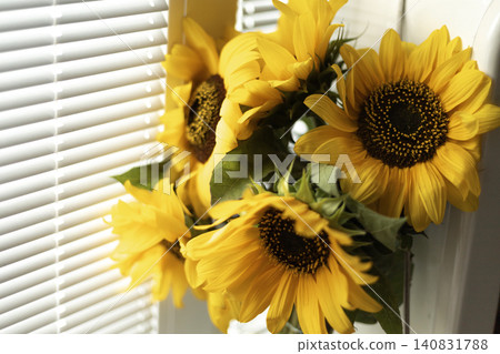 Sunflowers bouquet placed next to window blinds in bright daylight Sunflowers bouquet placed next to window blinds in bright daylight 140831788