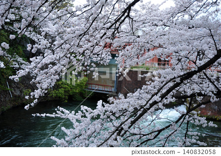 Cherry blossoms at Ebisugawa Power Station Cherry blossoms at Ebisugawa Power Station 140832058