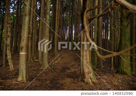 丹加明山風景(登山) 丹加明山風景(登山) 140832090