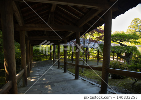 東福寺:從創始人殿通往通天橋的靜謐走廊(第二部) 東福寺:從創始人殿通往通天橋的靜謐走廊(第二部) 140832253